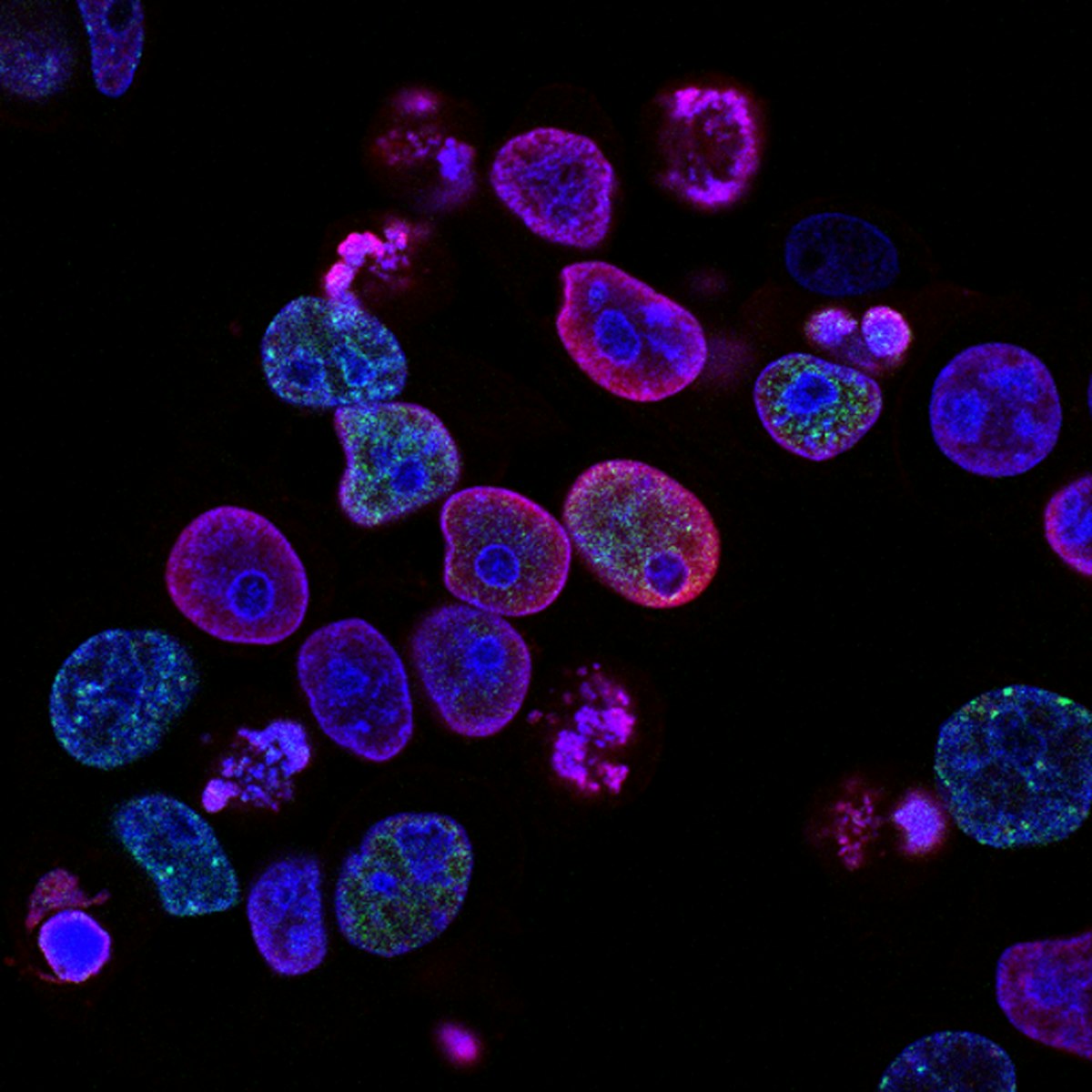 Genetic Engineering and CRISPR: Editing the Code of Life
