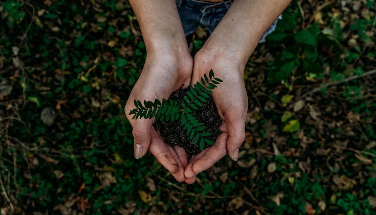 Sustainable Materials Science: Building a Greener Future