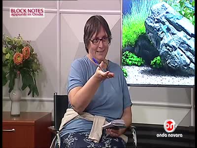 Onda Novara TV Channel